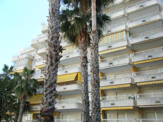 Apartamentos Marblau Varios 1, 2 Y 3 Dormitorios - Julio Y Agosto Solo Familias Playa de Gandia Exterior foto